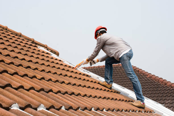 Best Metal Roofing Installation  in Merriam, KS