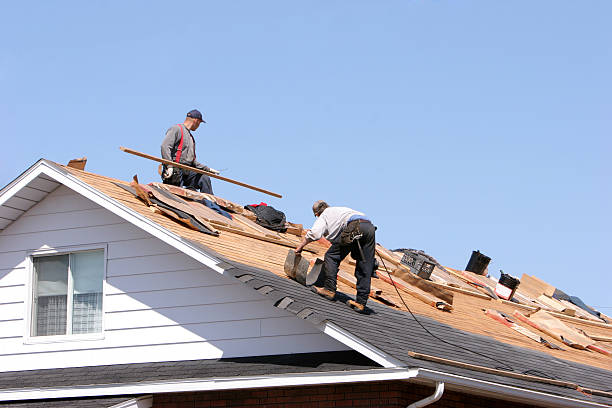 Best Asphalt Shingle Roofing  in Merriam, KS